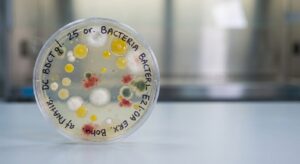 Bakterijų kolonijos biologinių įrenginių pavyzdyje